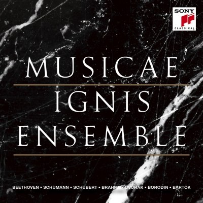 이니스 앙상블 (Ignis Ensemble) - MUSICAE
