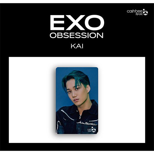 엑소(EXO) - 캐시비 교통카드 (카이 EXO ver.)