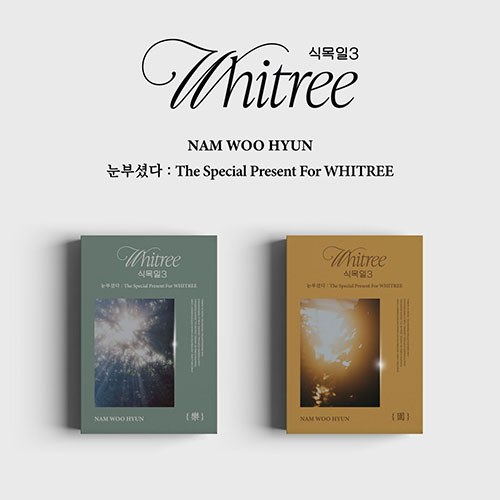 남우현 (Nam Woohyun) - 눈부셨다 : The Special Present For WHITREE (식목일 3 Live Ver.)