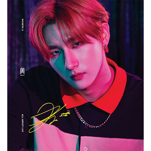 [Standard Casemade Book 2] 몬스타엑스 (MONSTA X) - ALL ABOUT LUV (I.M) 수입반