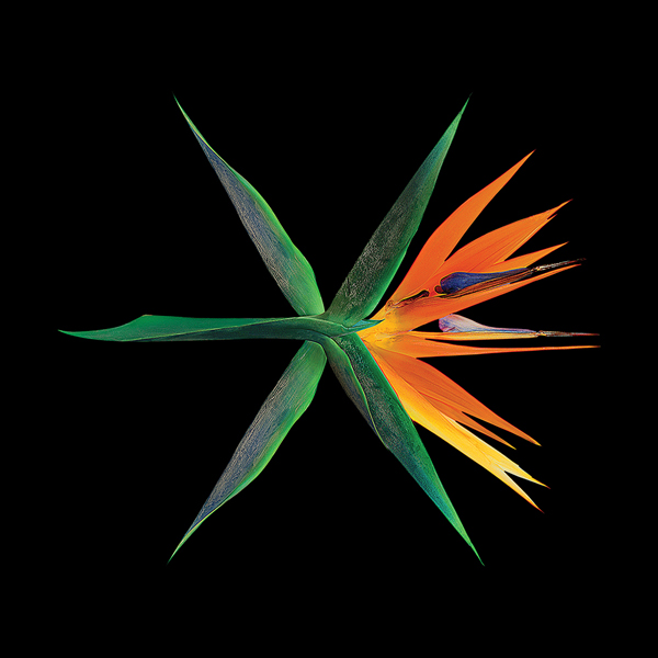 엑소(EXO) - 정규4집 [THE WAR] (Chinese  Ver.)