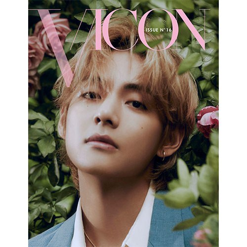 V - DICON ISSUE N°16 : VICON (B type)