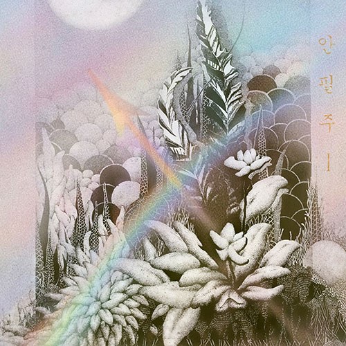 안필주 - 정규1집 [반투명]