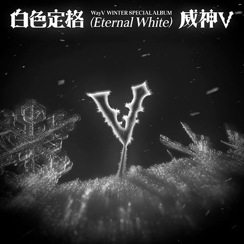 [애플특전][세트/앨범2종] 웨이션브이 (WayV) - Winter Special Album  [白色定格 (Eternal White)] (Photo Book Ver.)