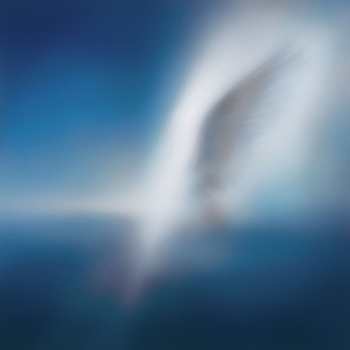 카더가든 (Car, the garden) - EP [Blue Heart]