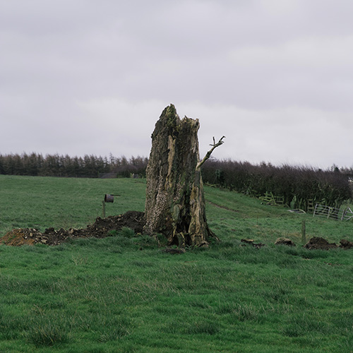 After Thoughts - Vermin of Mind