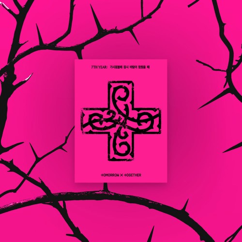 [애플특전] 투모로우바이투게더 (TXT) - TOMORROW X TOGETHER 7TH YEAR: 가시덤불에 잠시 바람이 멈췄을 때(PPULBATU Ver.)(Weverse Albums ver.)