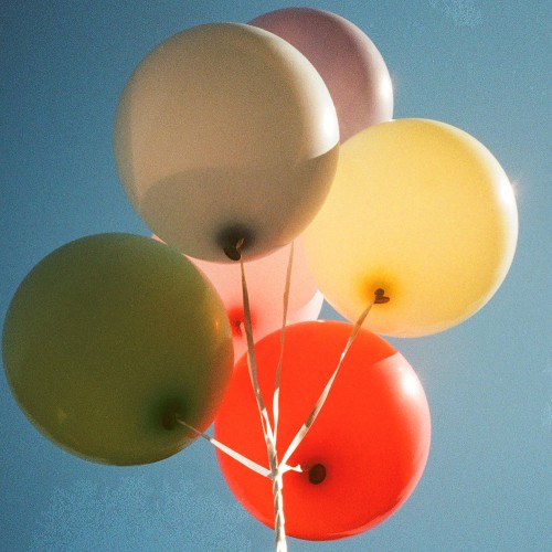 지지 (zZ) - 정규앨범 [원]