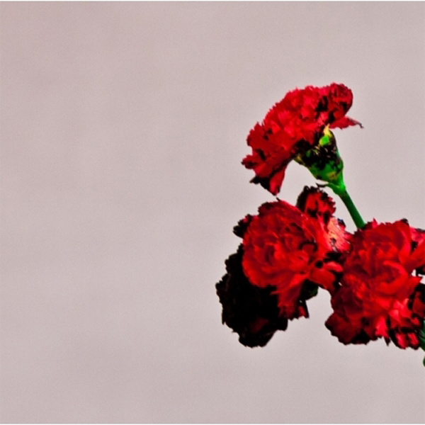 John Legend(존 레전드) - Love In The Future Future (Deluxe Version)